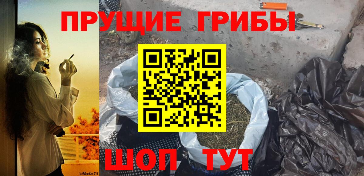 Псилоцибиновые грибы GOLDEN TEACHER Анжеро-Судженск