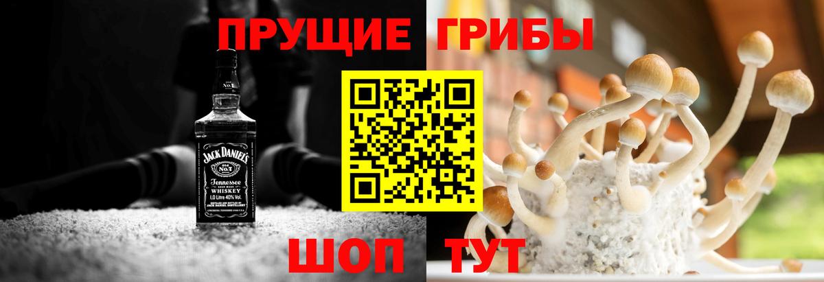 Анжеро-Судженск  Псилоцибиновые грибы Magic Shrooms  купить наркоту  Вход с VPN 
